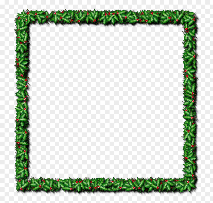 Asylum Ribbon Picture Frames Image Photograph Lawn Stock.xchng PNG