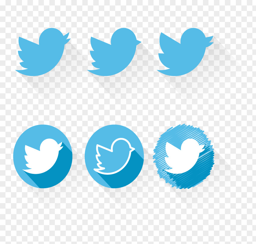 Birds Software Logo Social Media Twitter Icon PNG