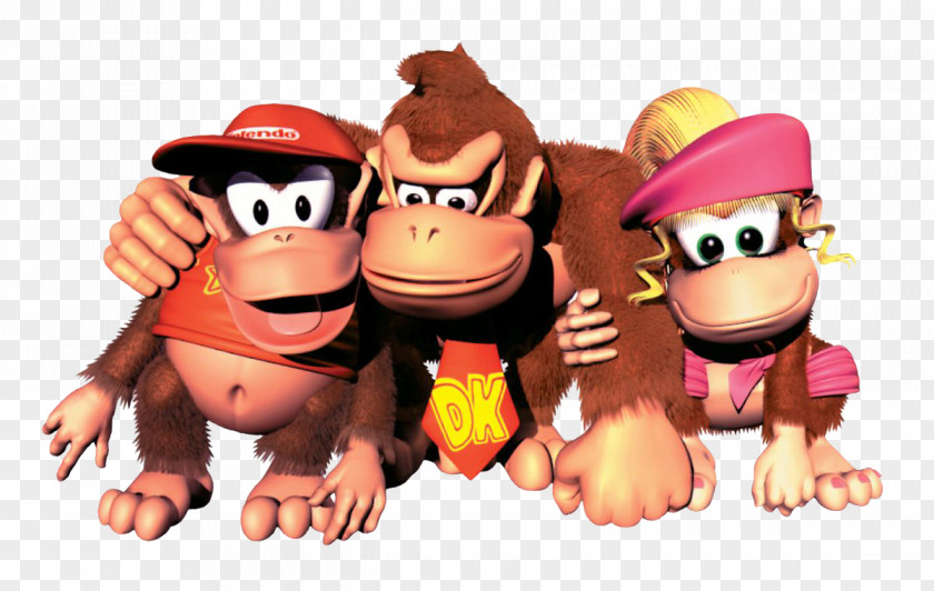 Donkey Kong Country 2: Diddy's Quest 3: Dixie Kong's Double Trouble! Land 2 PNG