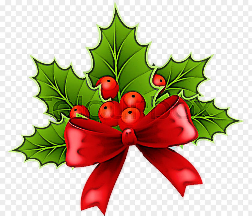 Flower Christmas Eve Decoration PNG