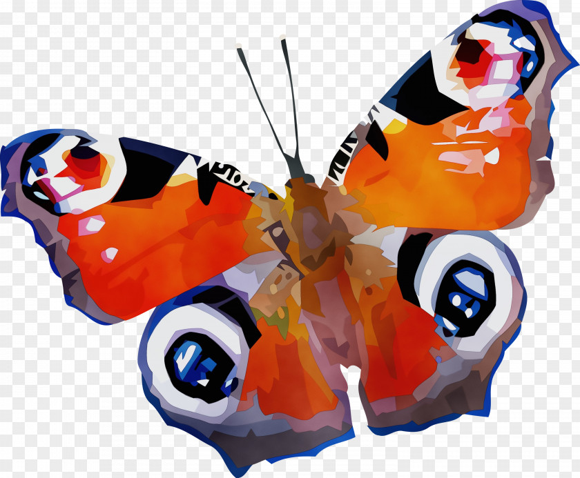 Insect Butterflies Brush-footed Natureza Linda Lepidoptera PNG