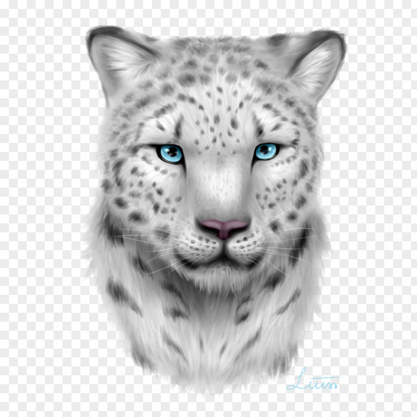 Leopard Snow Whiskers Magic: The Gathering Unstable PNG