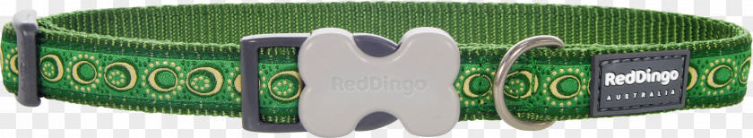 Red Collar Dog Dingo Leash Green PNG