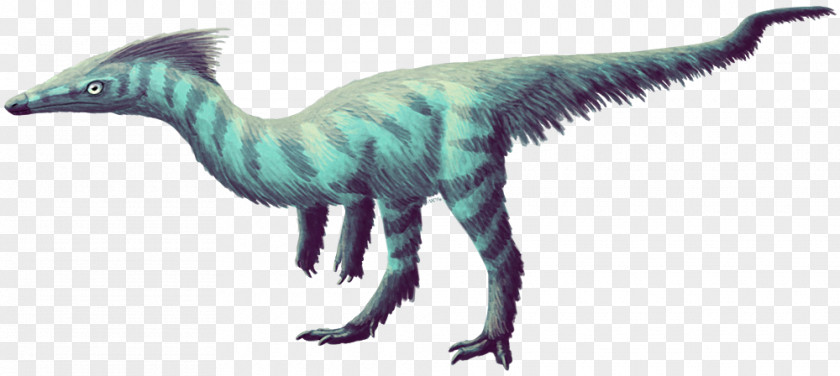 Dino Memes Velociraptor First Dinosaur Feathered PNG