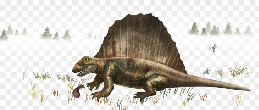 Dinosaur Ab Ovo Tyrannosaurus Stegosaurus Human Back PNG