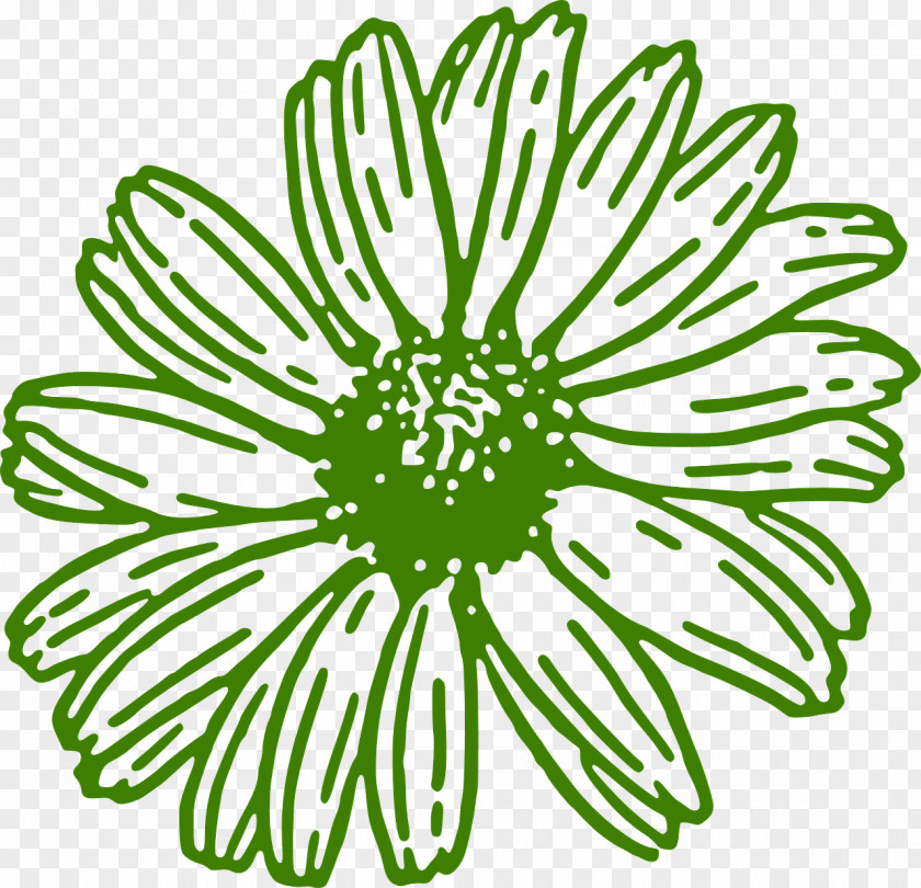 Green Flowers Transvaal Daisy Free Content Clip Art PNG