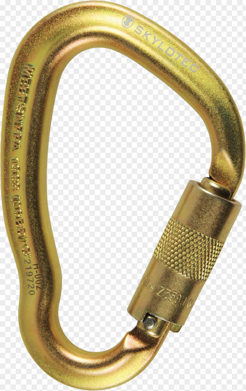 Hand-painted Leaning Tower Of Pisa Carabiner Steel Twistlock Rope Access SKYLOTEC PNG