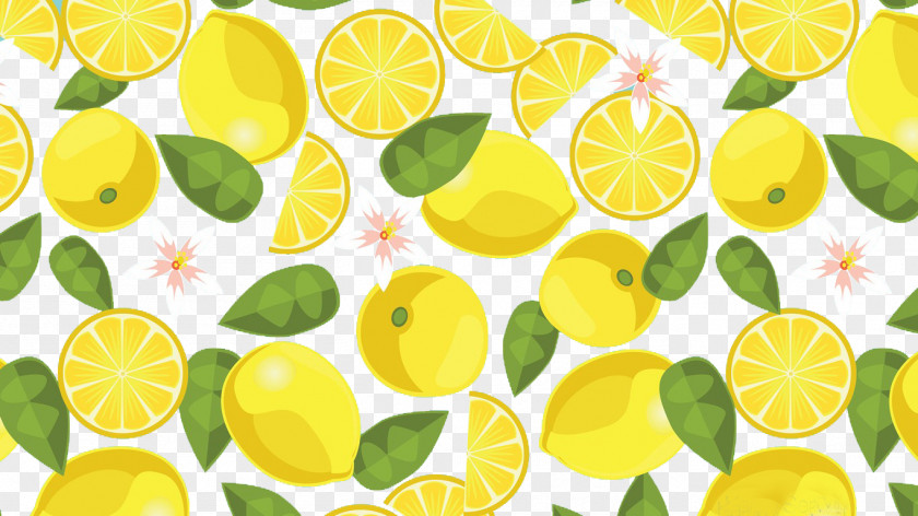 Lemon Citrus Junos Key Lime PNG