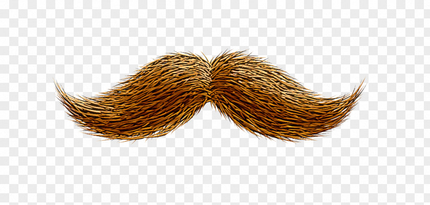 Moustache PNG