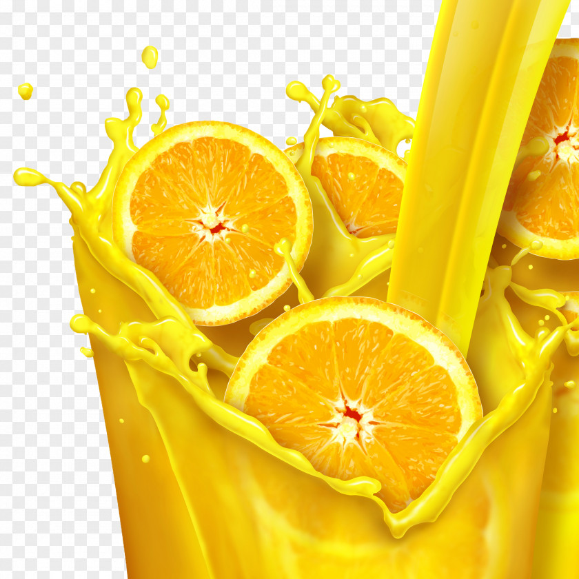 Orange Slices Juice Color Scheme Fruit PNG