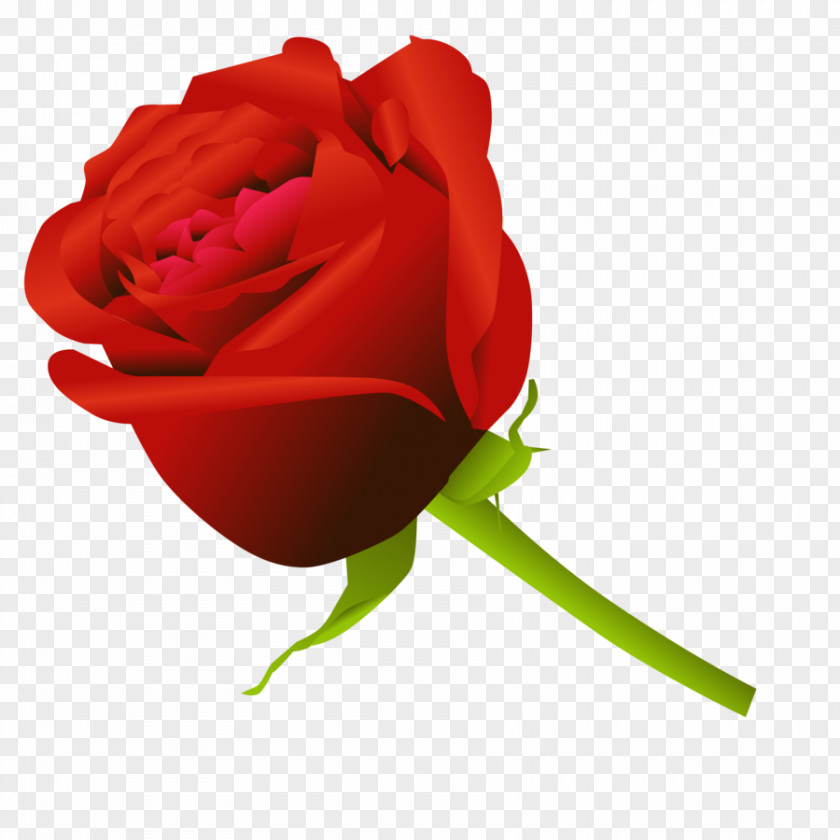 Rose Vector Flower Drawing Clip Art PNG
