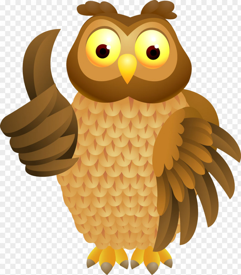Vector Owl Cartoon Royalty-free Clip Art PNG