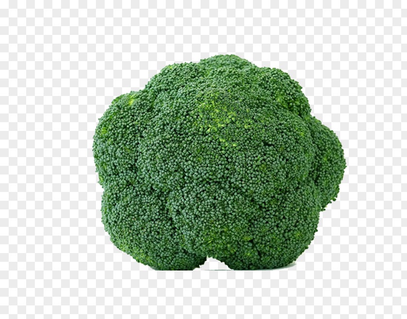 Broccoli Cancer Health Pharmaceutical Drug Therapy Cure PNG
