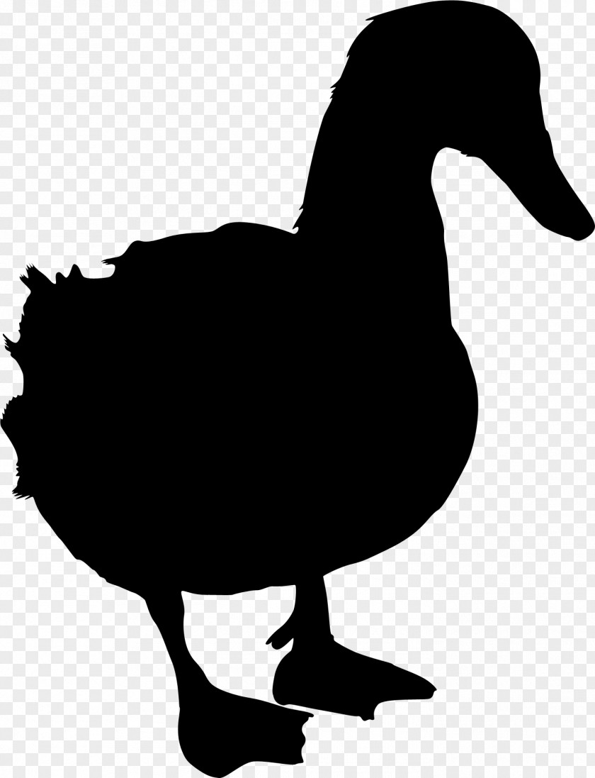 Duck Goose Clip Art Silhouette Fauna PNG