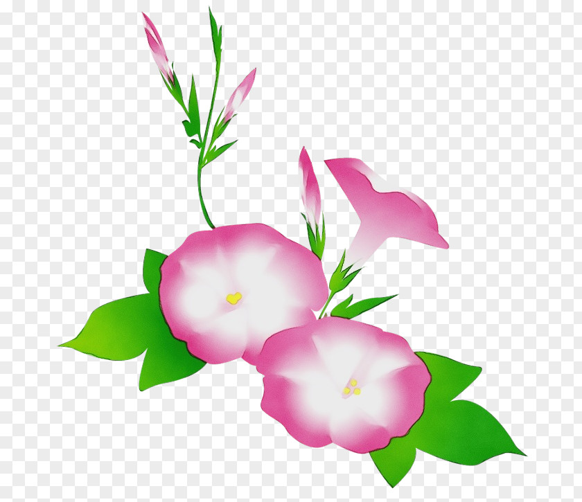 Impatiens Bouquet Pink Flowers Background PNG