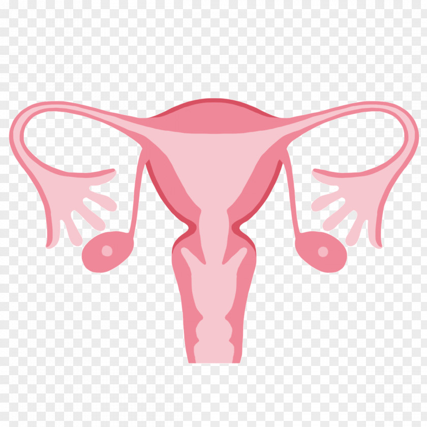 Intrauterine Device Uterus Birth Control Ovary Menstruation PNG