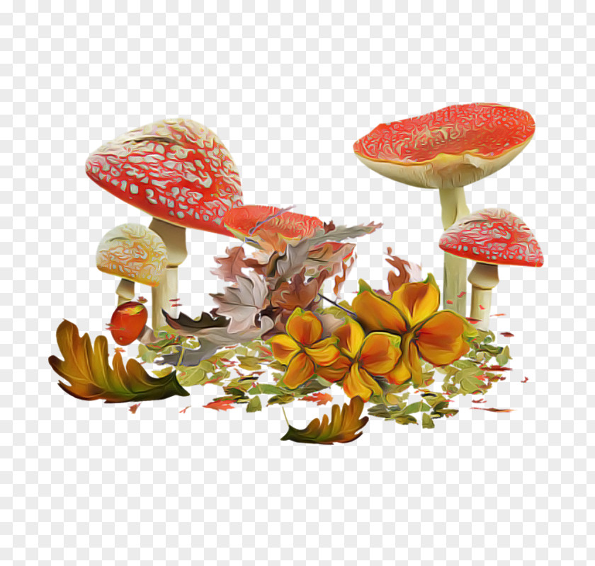 Perennial Plant Fungus Agaric Mushroom Leaf Anthurium PNG