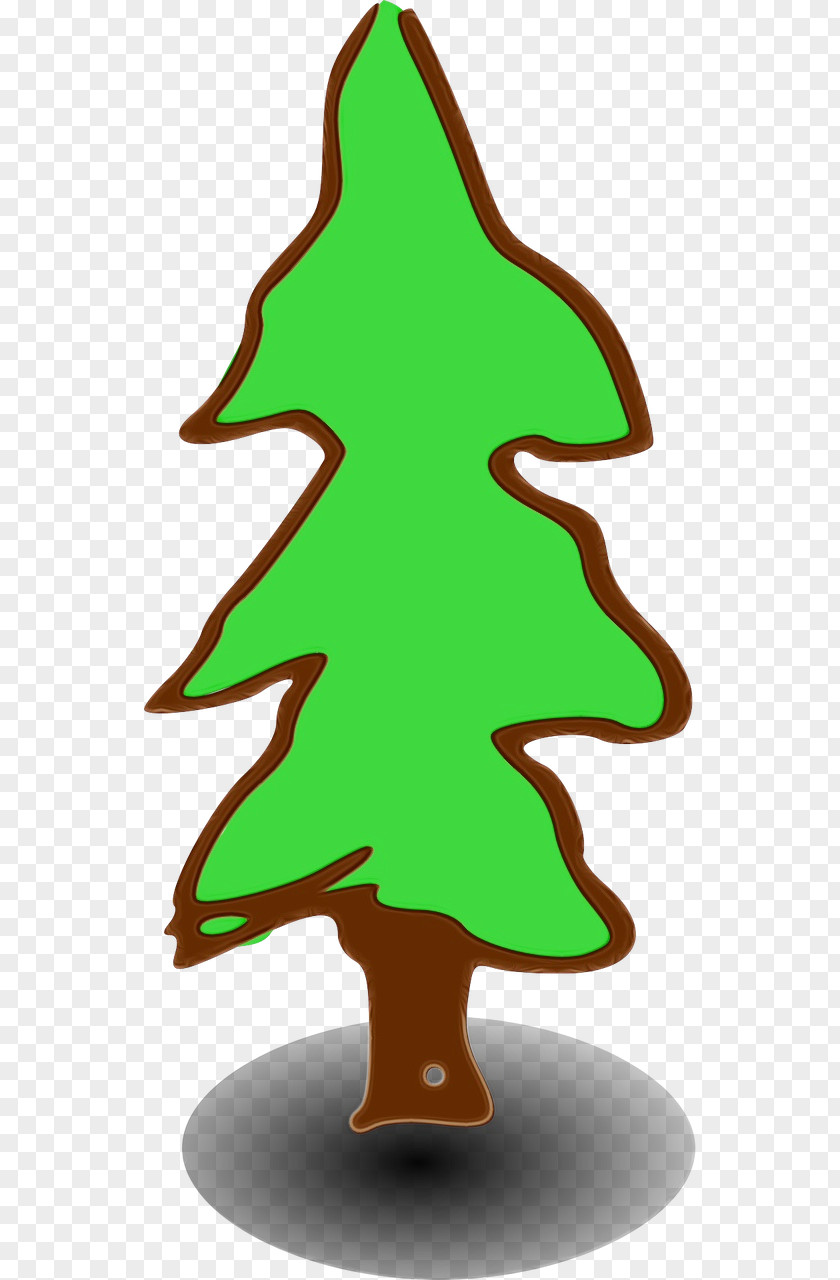 Pine Family Plant Christmas Tree PNG