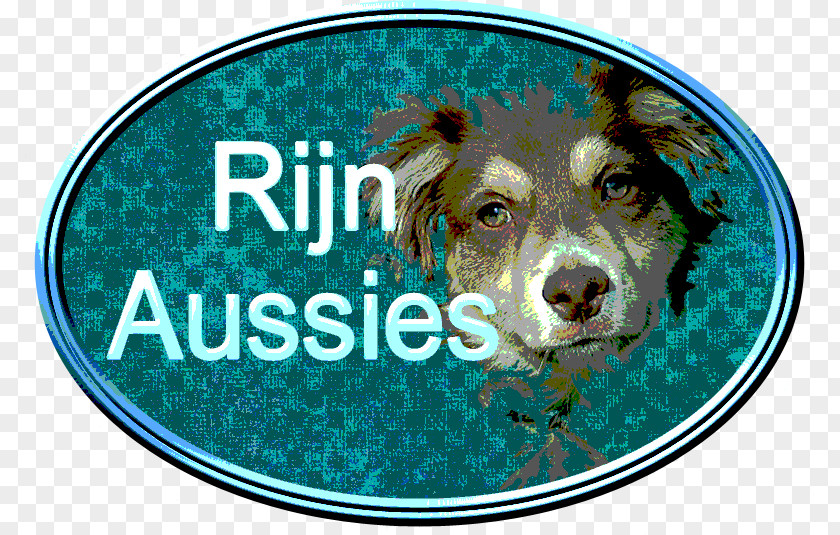 Puppy Dog Breed Australian Shepherd Whist Font PNG