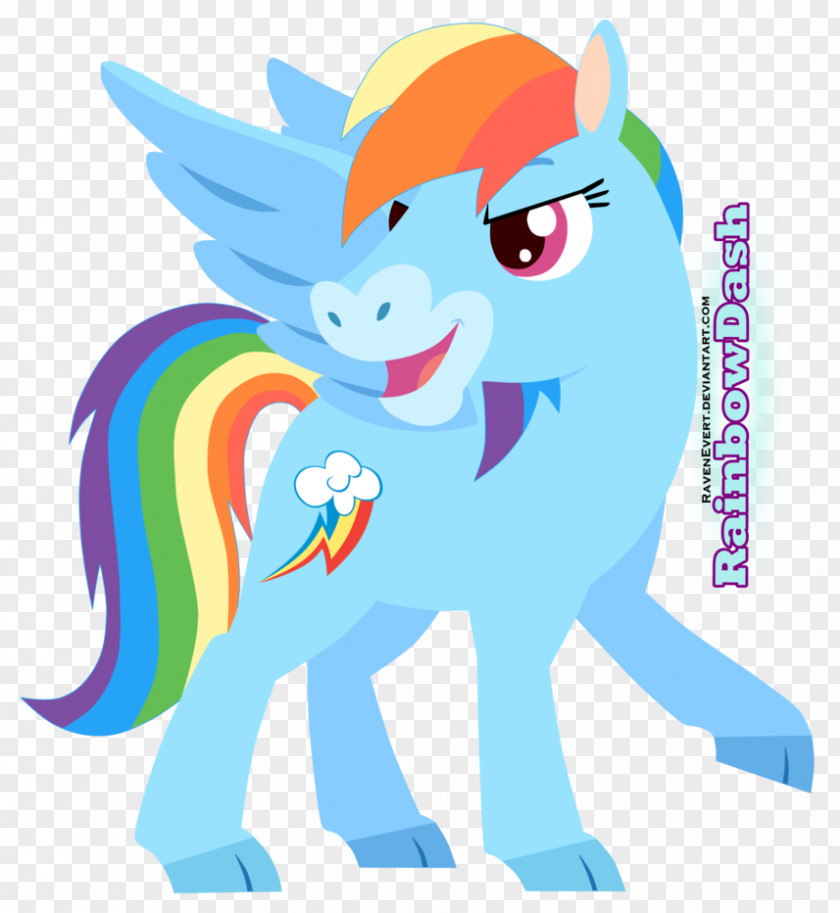 Dog Pony Horse Cat Rainbow Dash PNG