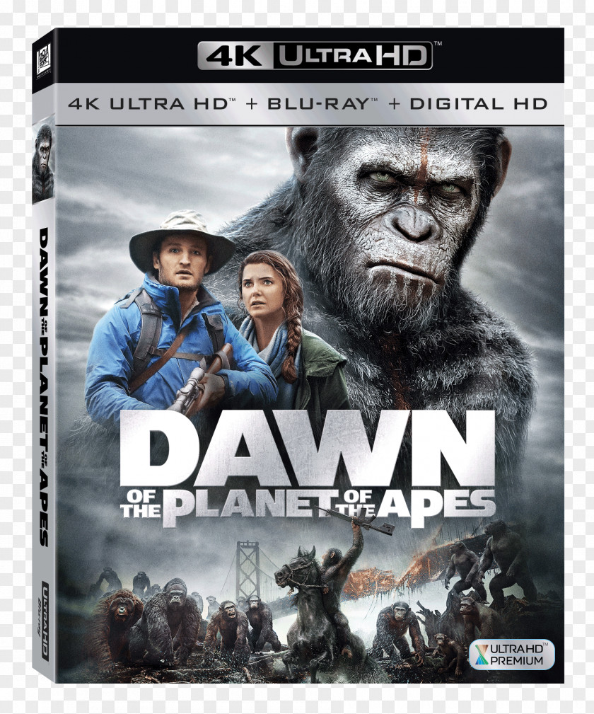Dvd Ultra HD Blu-ray Disc Planet Of The Apes 4K Resolution Digital Copy PNG