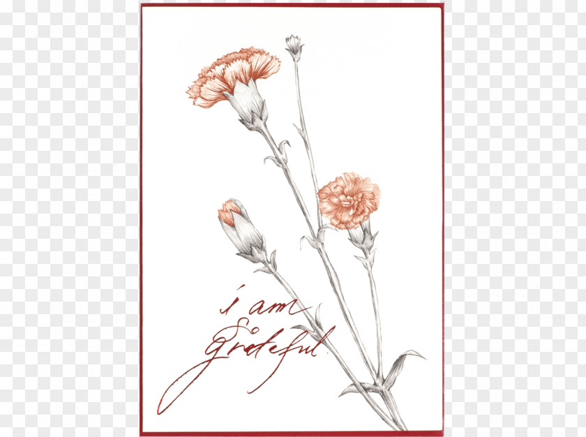 Floral Design Paper Carnation Cut Flowers PNG