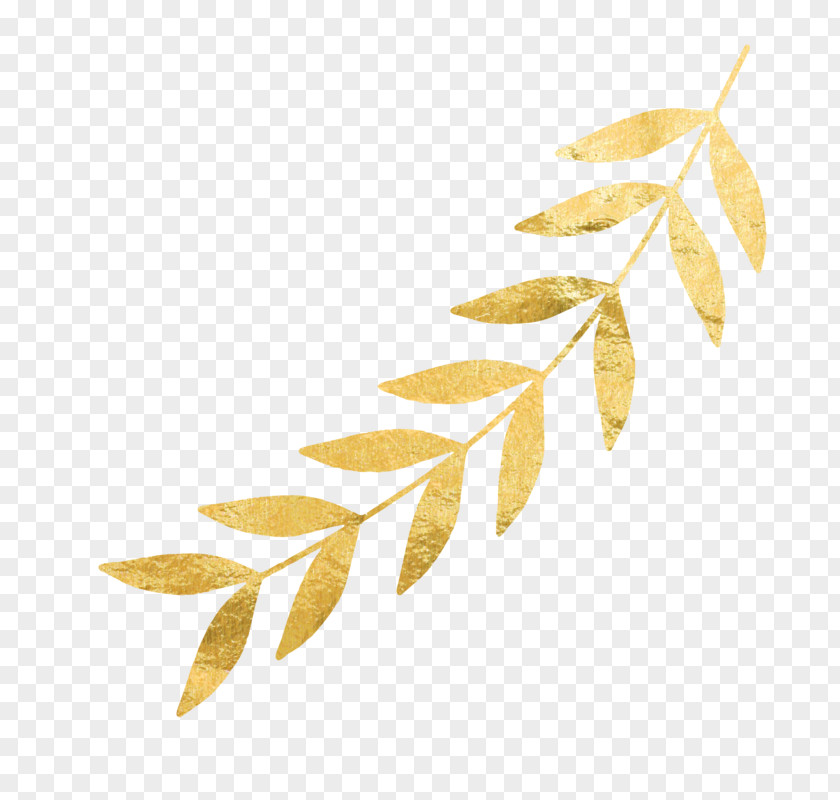 Gold Leaf Twig PNG