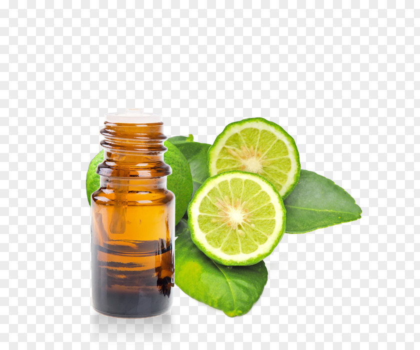 Oil English Lavender Essential Bergamot Orange PNG