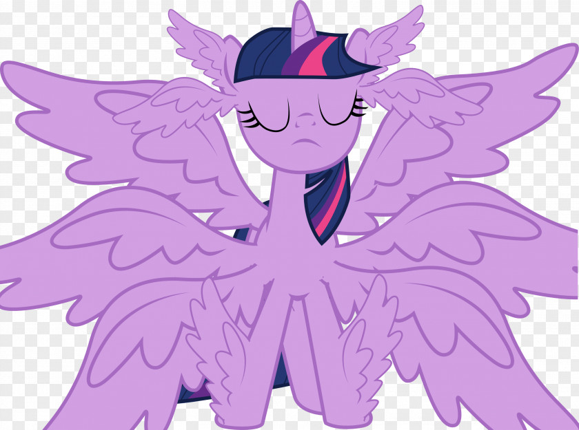 Savior Twilight Sparkle Pony Rainbow Dash Winged Unicorn PNG