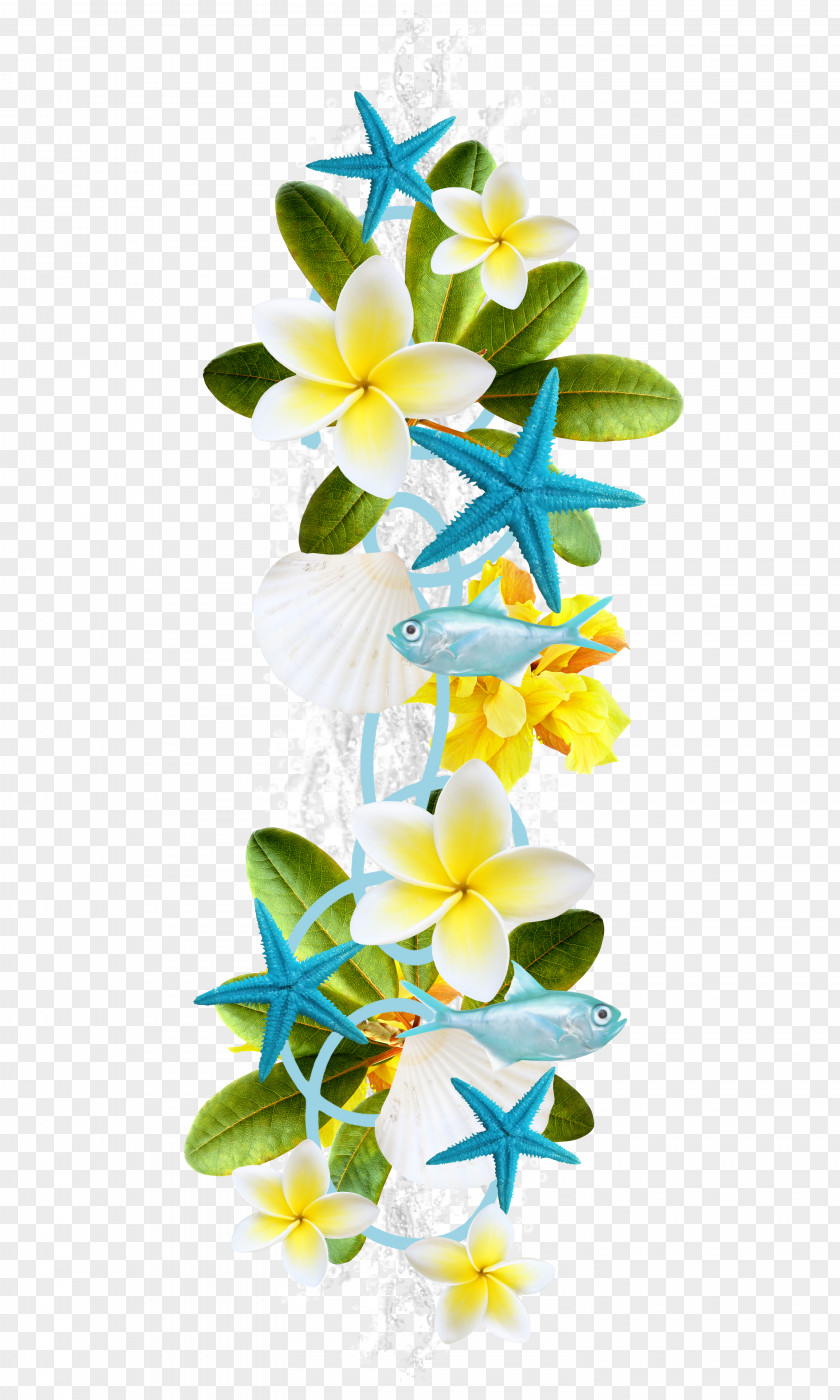 Beautiful Blue Flowers Starfish Petal Flower Plant Floral Design PNG