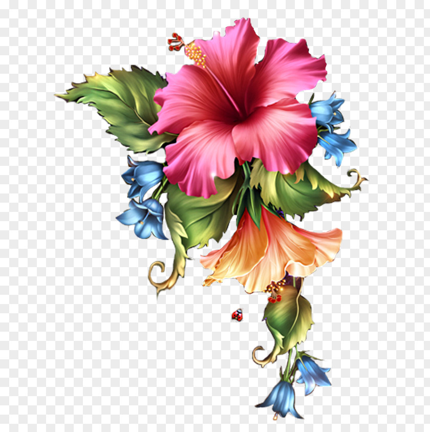 Bloosom Rosemallows Flower Clip Art PNG