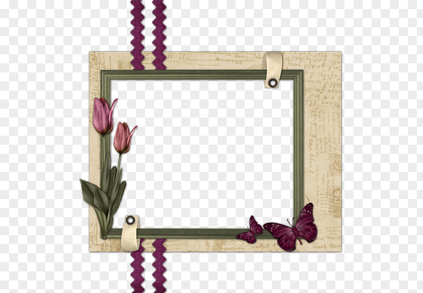 Butterfly Frame Picture Frames Cartoon Drawing PNG