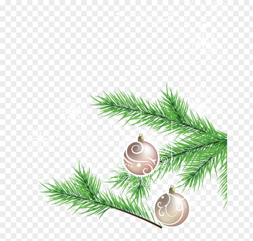 Christmas Ornament Eve Tree Fir PNG