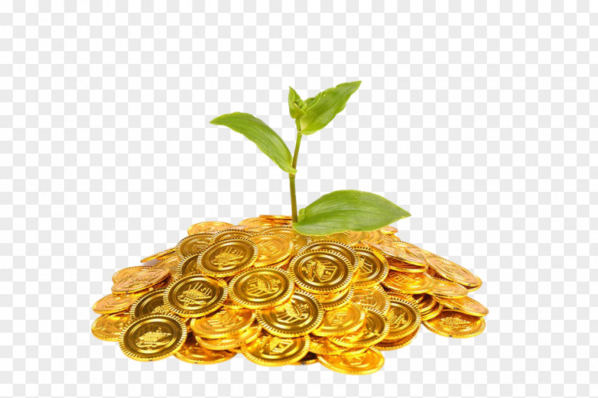 Gold Coins And Plants Coin Plant Finance PNG