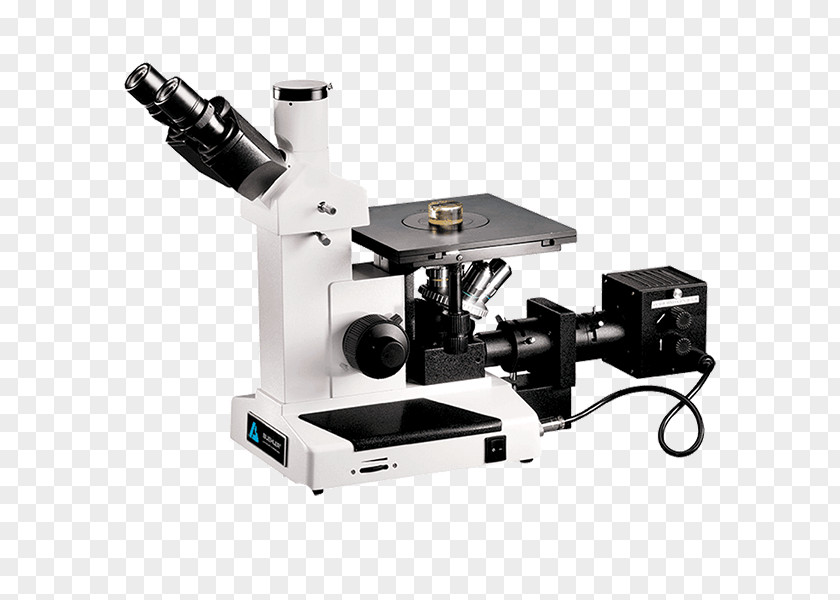 Nikon Stereo Microscope Inverted Optical Digital Microscopy PNG