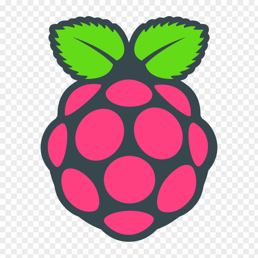 Raspberries Raspberry Pi Foundation Computer Cases & Housings Raspbian PNG