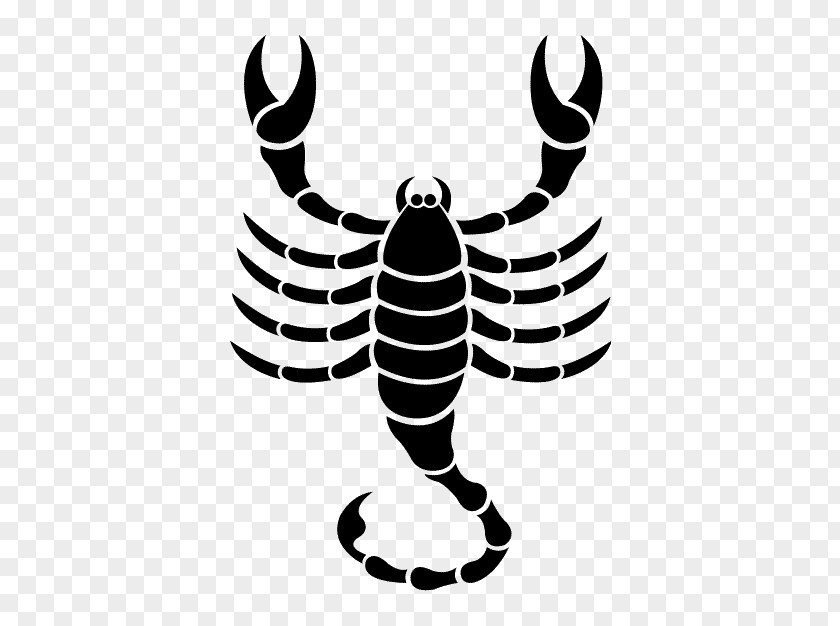 Scorpio Astrological Sign Astrology Zodiac Symbols PNG
