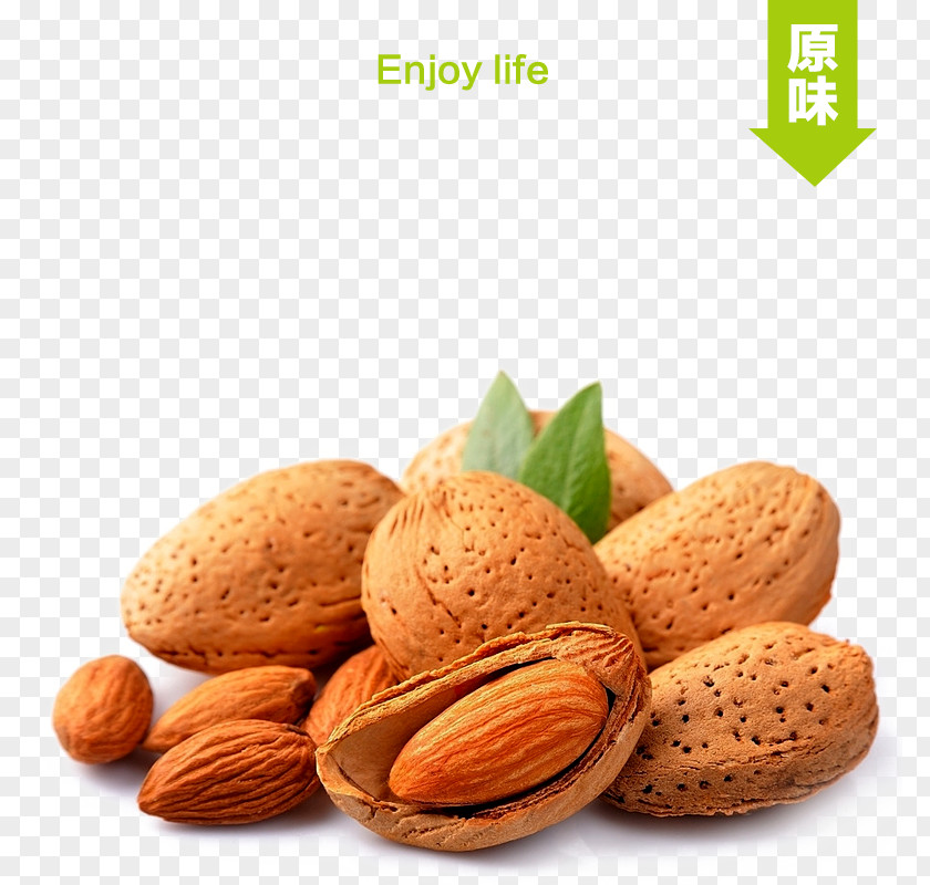 Almond Taobao Main Map Stuffing Nut Apricot Kernel PNG