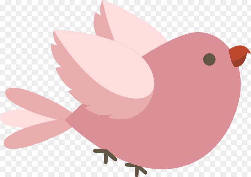 Arvore Rosa Clip Art Illustration Beak Pink M Snout PNG