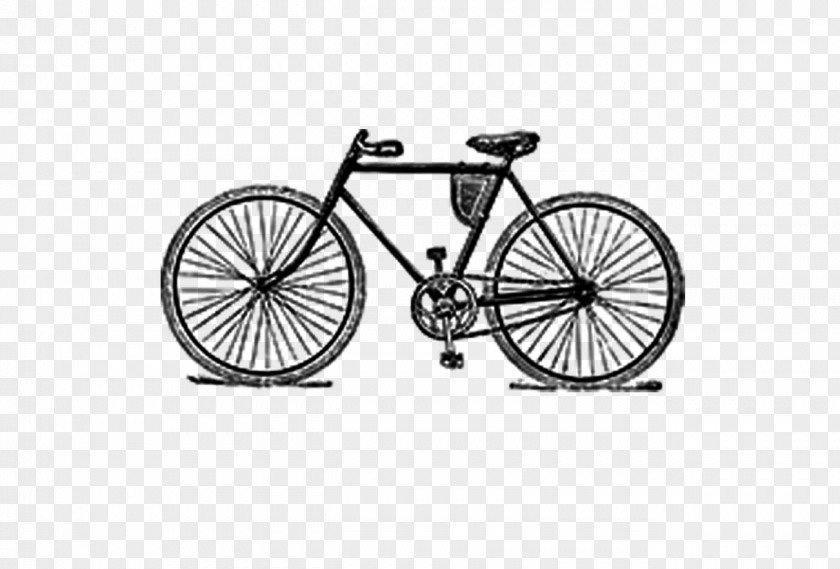 Bike Sketch Bicycle Drawing PNG