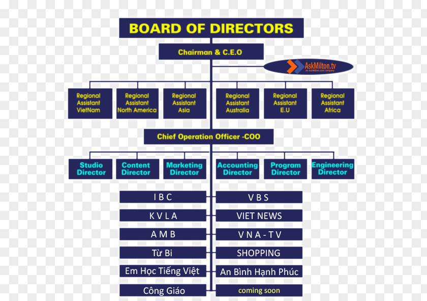 Board Of Directors Chart Vietnamese Language United States America Television Channel Organization PNG