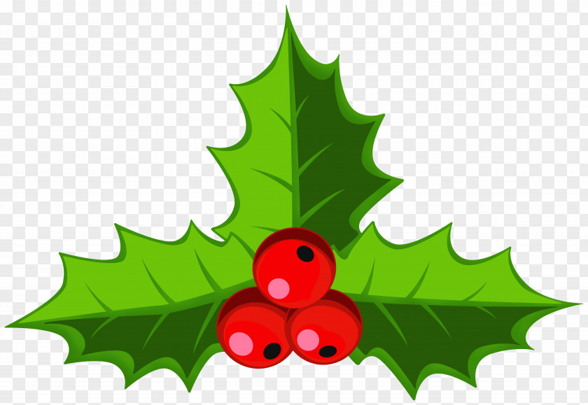 Cartoon Christmas Holly Clip Art Common Image Day PNG