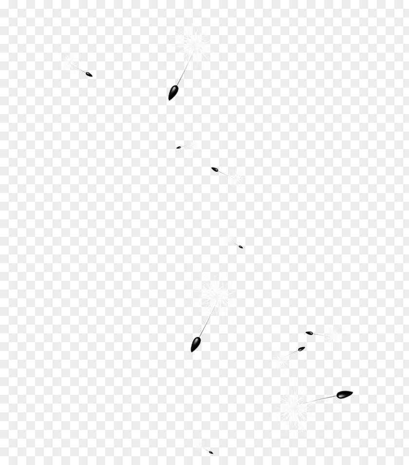 Dandelion Black And White Line Point Angle PNG