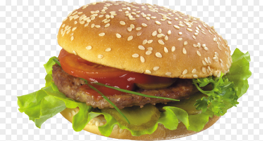 Hot Dog Hamburger McDonald's Big Mac Beef Fast Food PNG