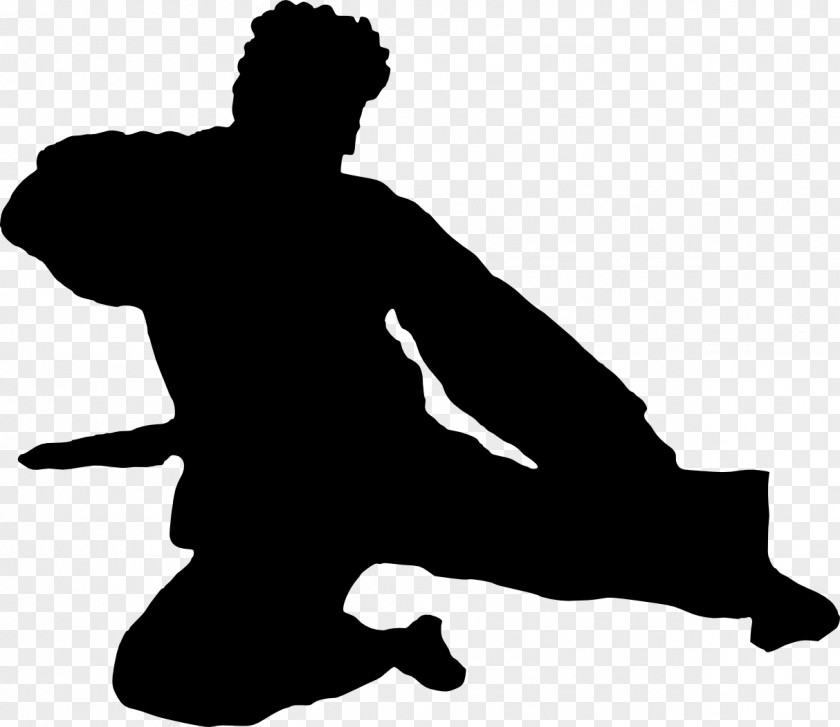 Karate Silhouette Martial Arts Clip Art PNG