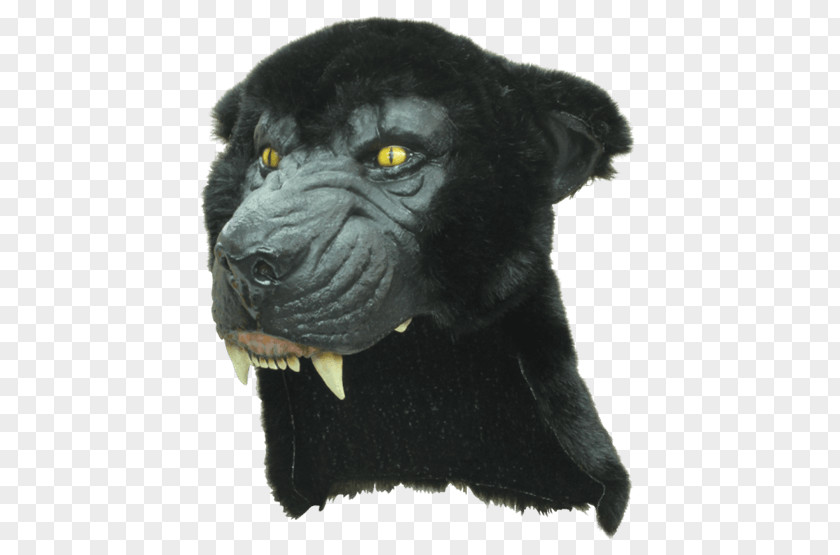 Mask Panthera Costume Helmet PNG