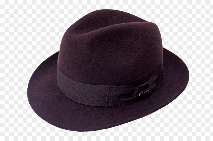 Silk Ribbon Fedora PNG