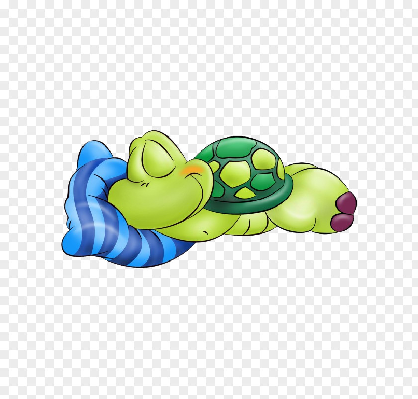 Baby Turtle Cartoon Sleep Image Royalty-free PNG