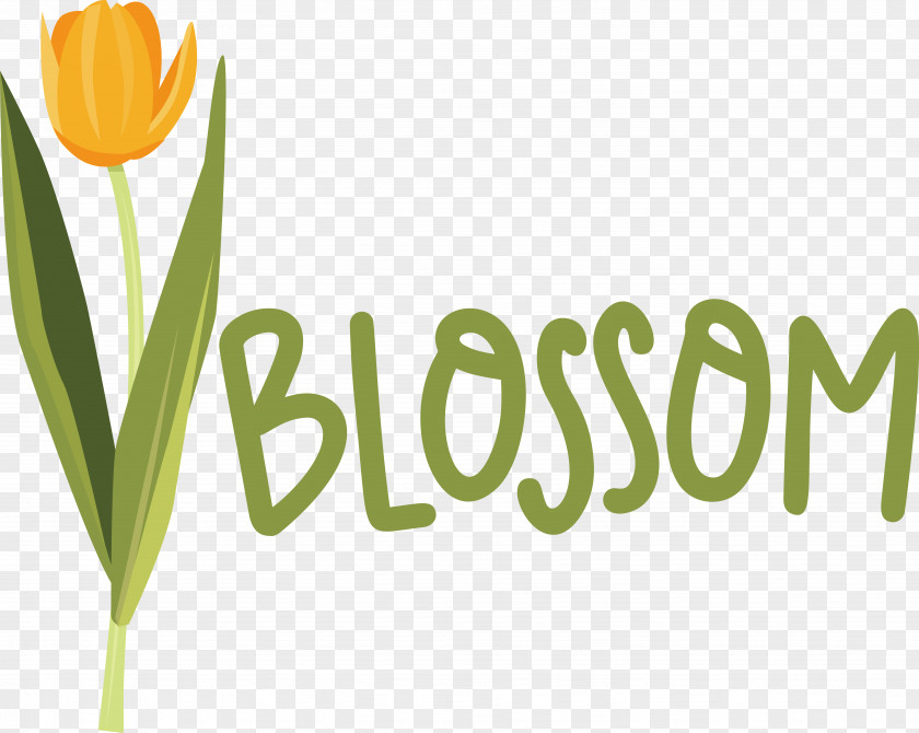 Flower Plant Stem Logo Font Tulip PNG