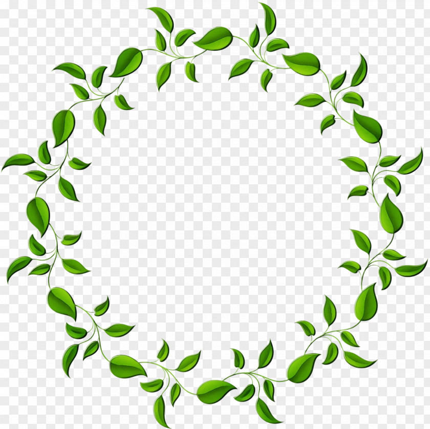 Ivy Family Green Leaf Background PNG